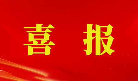 bet356亚洲版体育官网黎兰兰同志被授予“深圳市社会组织优秀共产党员”称号